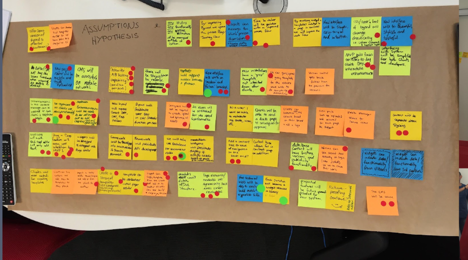 Assumption mapping & prioritisation